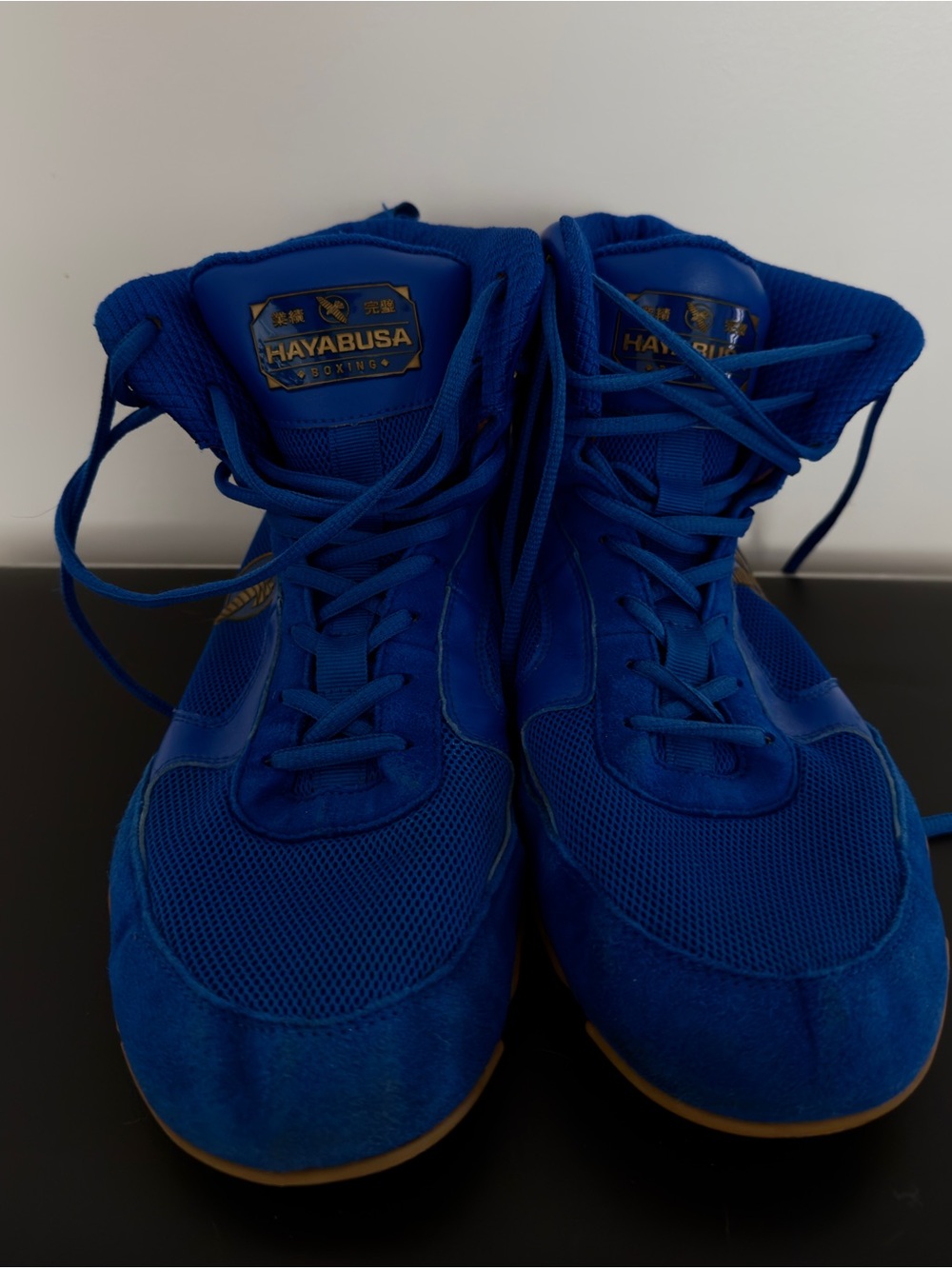 Hayabusa Men's Athletic Boxing Shoes in Blue